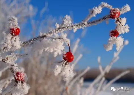凤凰旅讯｜旅途中的陷阱与维权，教你识破四重旅游陷阱……