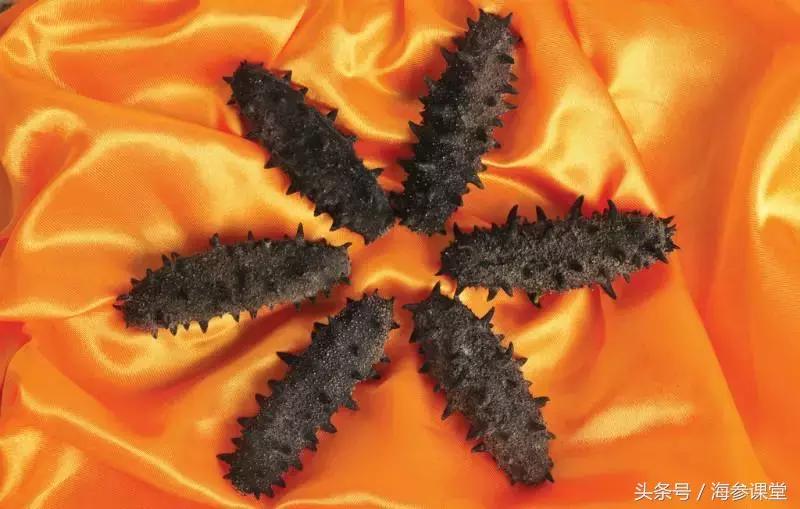 海参鉴别最简单方法,如何鉴别海参的品质