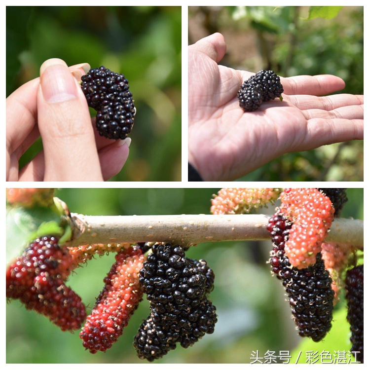 乌石天成台风景,乌石天成台海滩