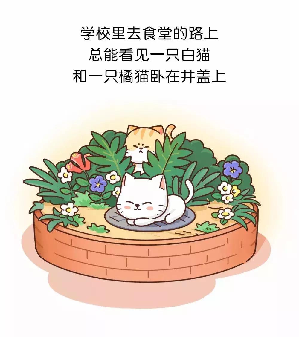 被拐卖大学生路人求救,被拐卖小姑娘求救信息