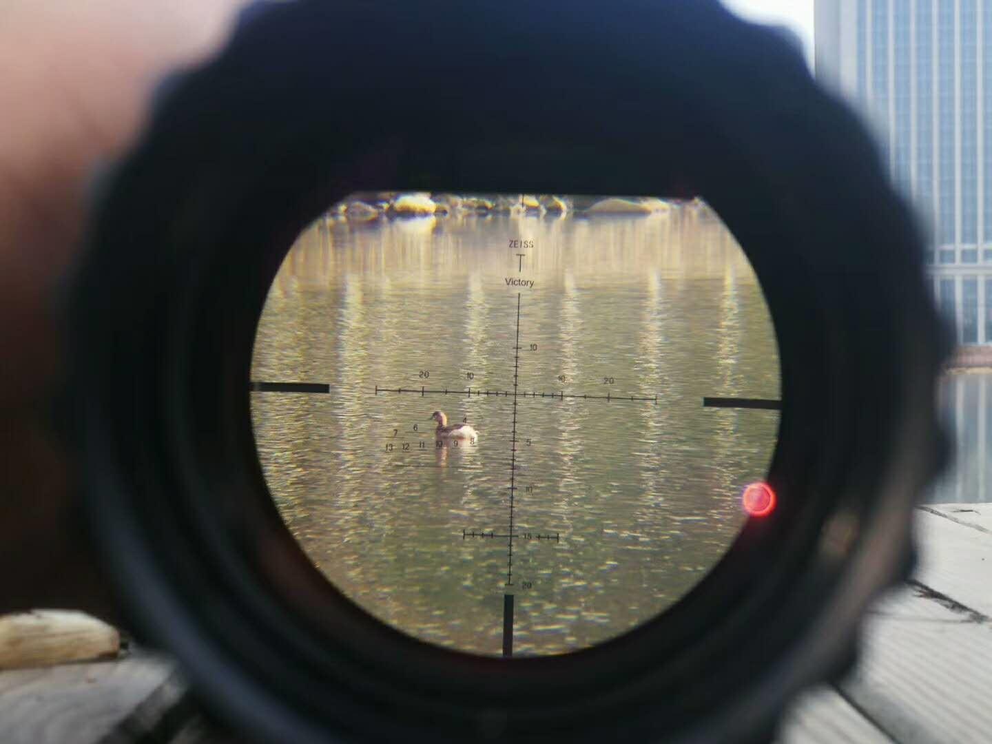 蔡司胜利者4-20x50评测,蔡司胜利者望远镜