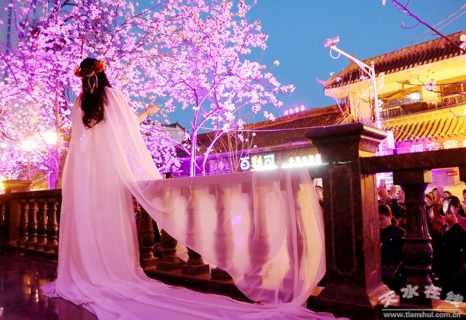 天水玉兰古巷全景图,天水玉兰古巷快闪视频