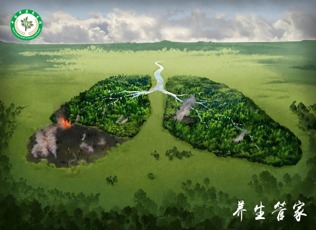 冬天火气大怎么调理,冬天内火重吃什么降火效果最好