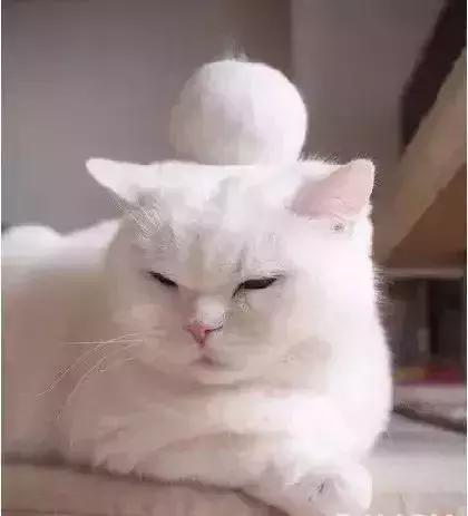 闲鱼上低价商品靠谱吗,某鱼买家下单联系不上买家怎么办