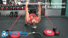 哑铃卧推凳练变式,窄距哑铃卧推和锤式哑铃卧推