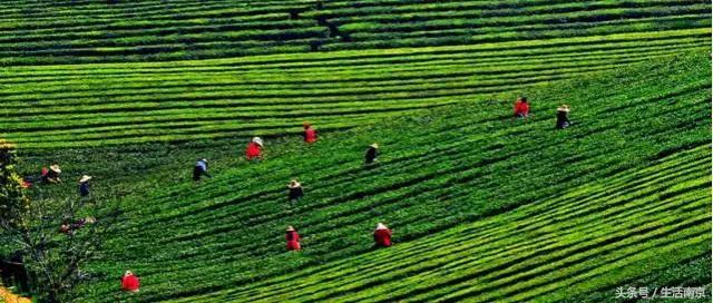 南京高淳区怎么样,南京高淳出的明星