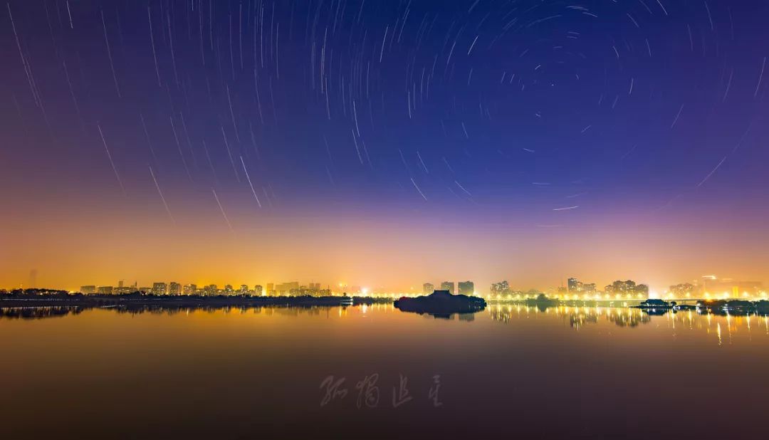 泼辣有图：有史以来质量最高的一期榜单