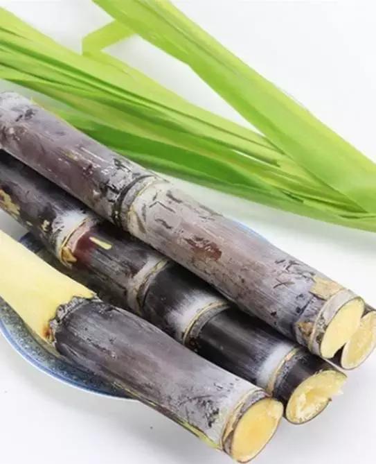 三月是吃什么水果的季节,各种水果在哪个时间段吃最好