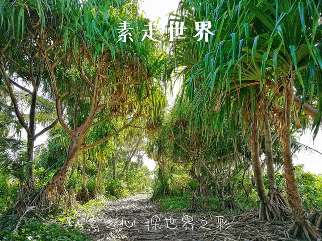 这个即将沉没的国家因专家一句话燃起了希望事实怎样自己去看