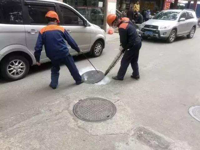 除四害消灭老鼠,治理四害老鼠