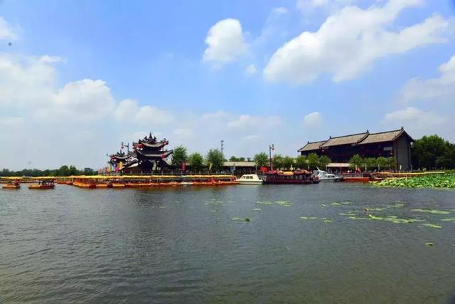 太昊陵寻根谒祖,重阳节太昊陵赏菊谒祖正当时