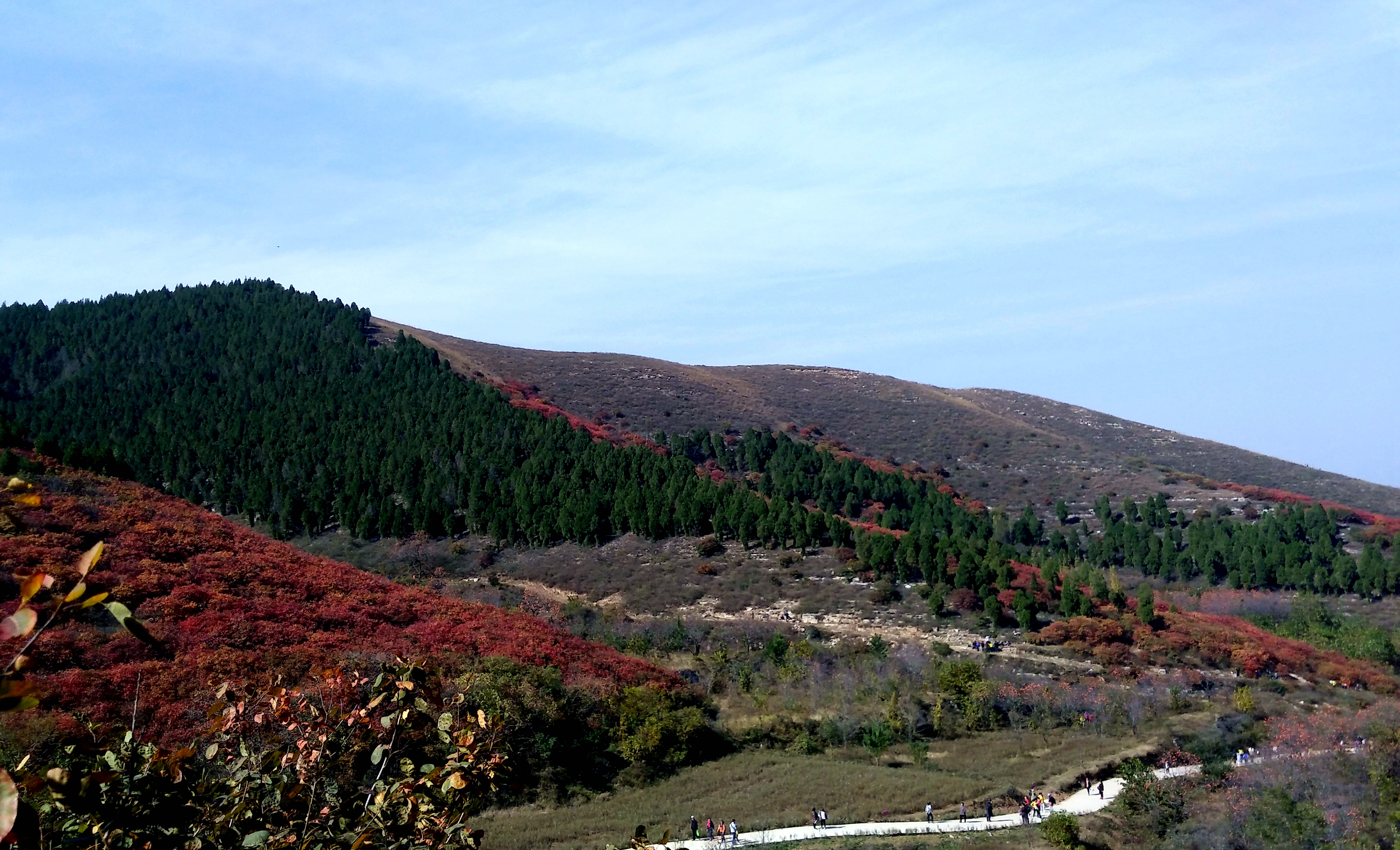 临朐土话,临朐土话小视频
