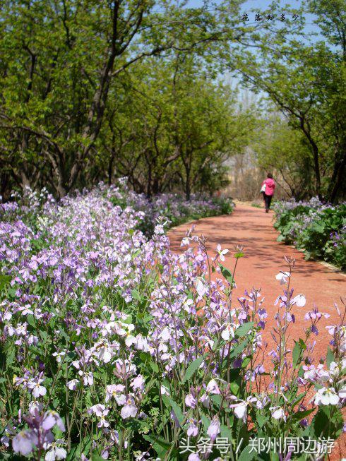 郑州人真正的后花园,郑州人少环境好的地方