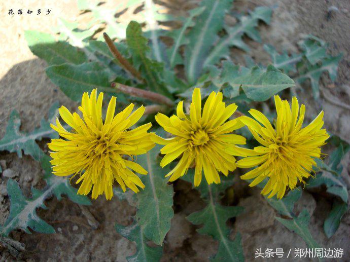 郑州人真正的后花园,郑州人少环境好的地方