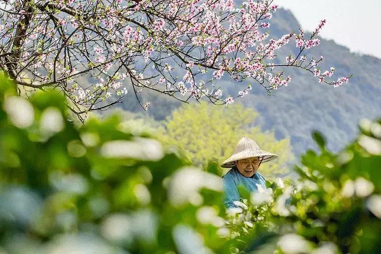 拥有季节感,是过上精致生活的第一步