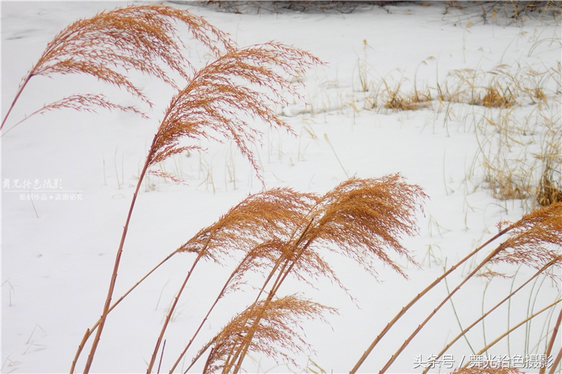 本溪关门山徒步攻略,边走边拍风景视频素材