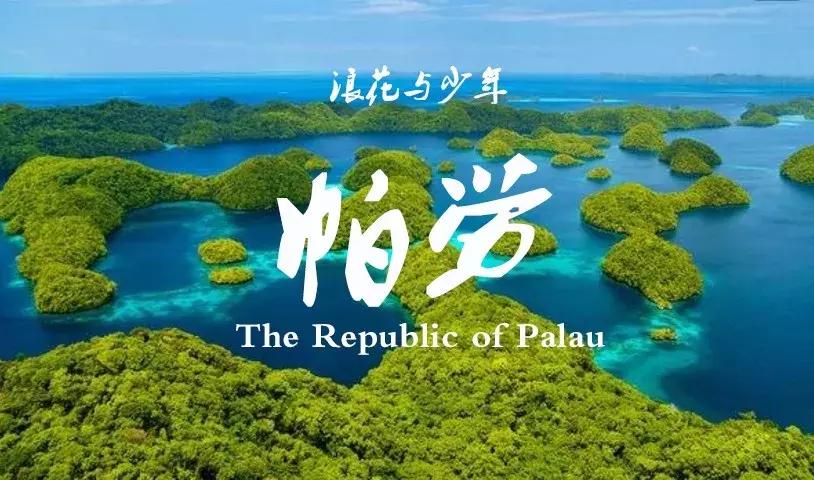 帕劳岛自由潜水 (帕劳潜水视频观看鱼群风暴)