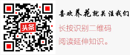 房间养花会滋生蚊子吗,家中养花能滋生蚊子吗