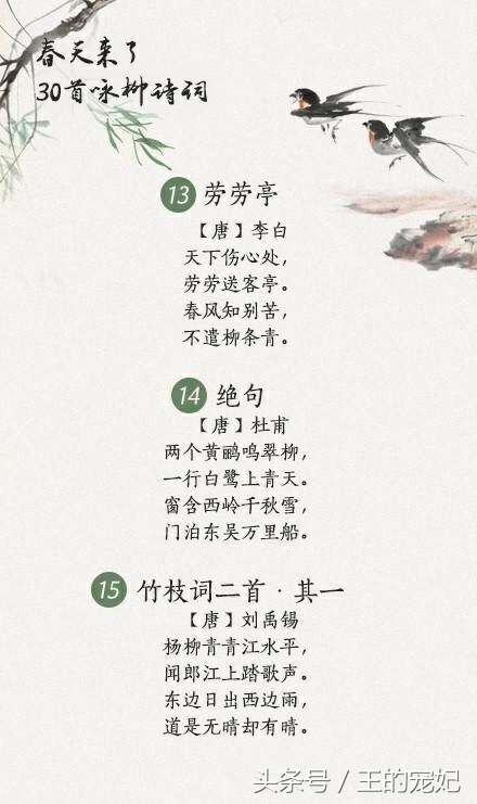 咏柳经典诗词100首,贺知章描述春天柳树的诗句