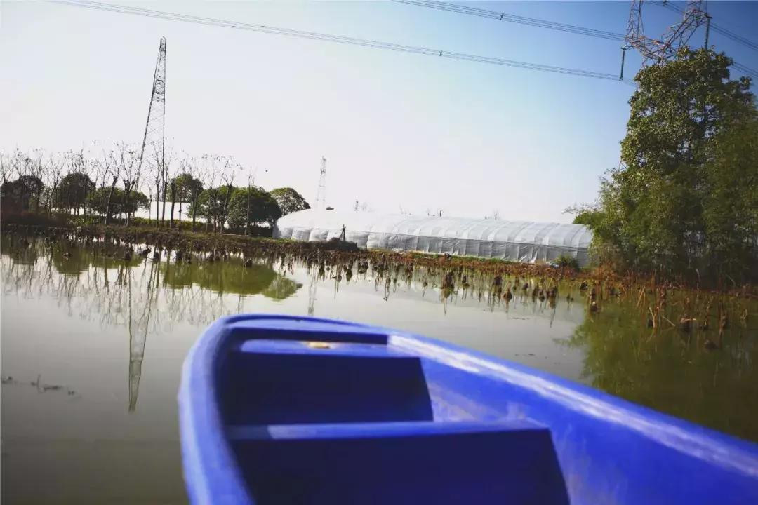 草莓车厘子芒果榴莲菠萝蜜猕猴桃,热带水果芒果榴莲火龙果