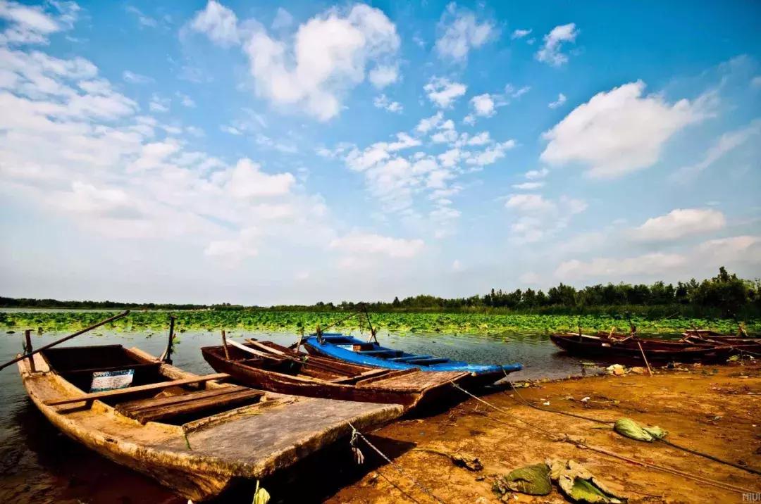 衡水人的特点,衡水人为什么这么出名