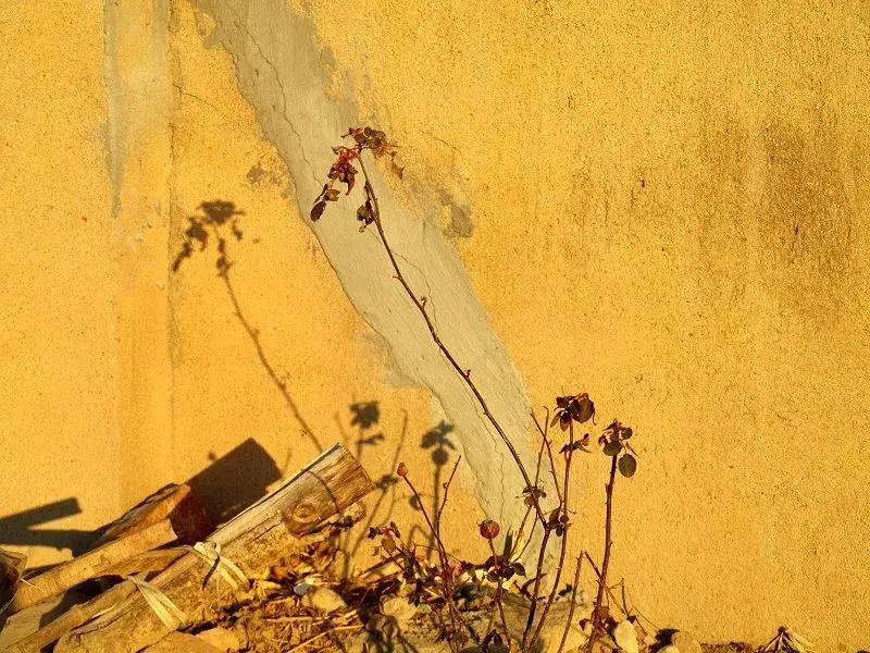 丧了过去的一整年,2018你为什么还要选择留在九江?