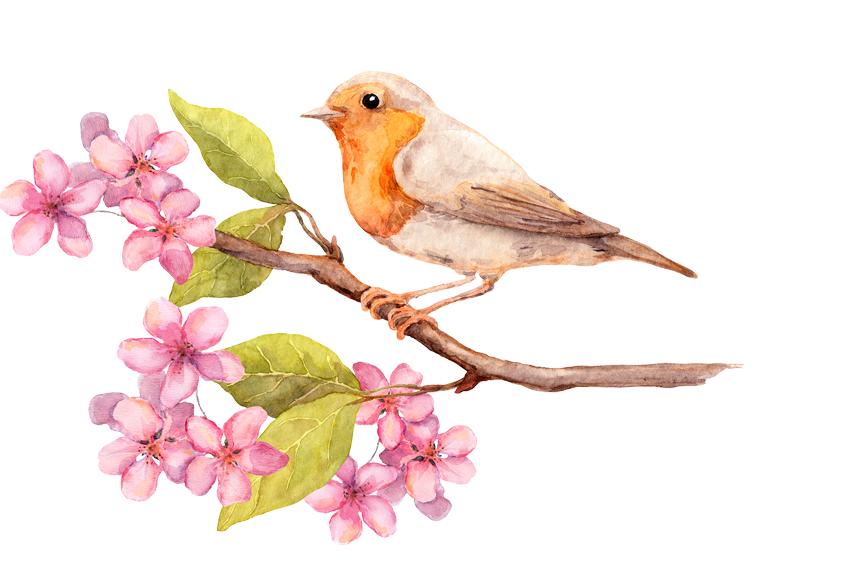 从出生时辰看你运势好坏上篇,通过五行看性格