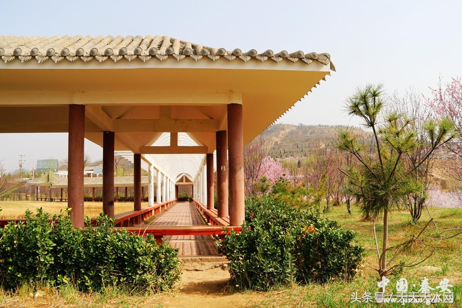 秦安:芳蕊遍地蜜蜂闹*光春**明媚凤山娇