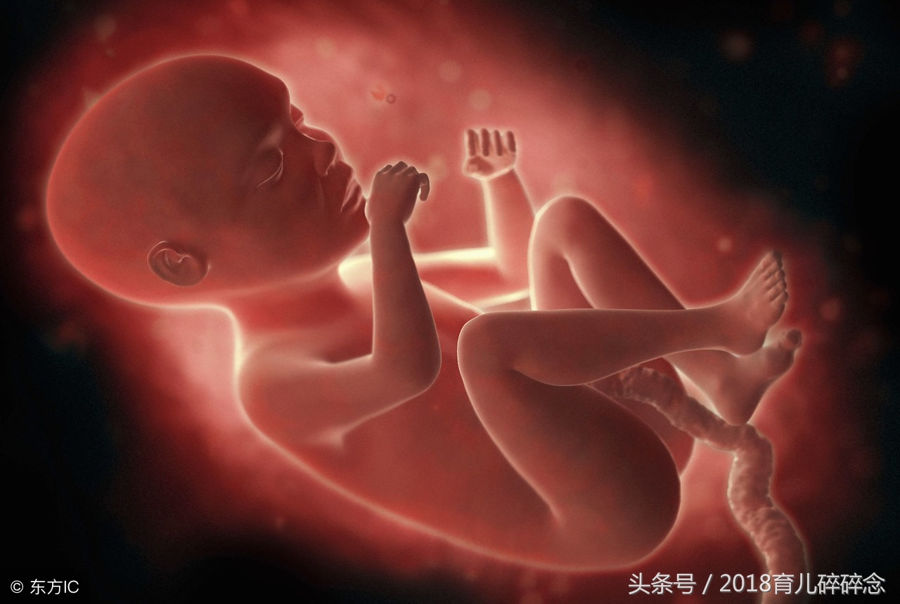 受孕一次成功率高吗,受孕精子与卵子结合要多久