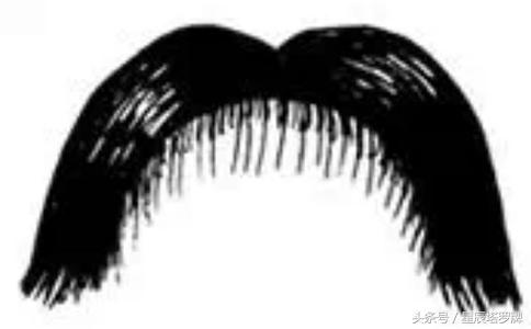 额头看人的福气命运,什么样的额头容易发财