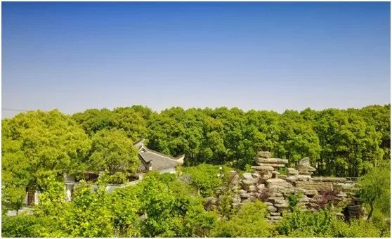 两家隐匿在迪士尼边的亲子度假庄园,采摘、烘焙,好的不得了!