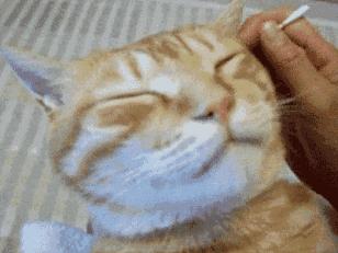 耳朵里脏东西多怎么回事,耳朵里脏东西越抠越多