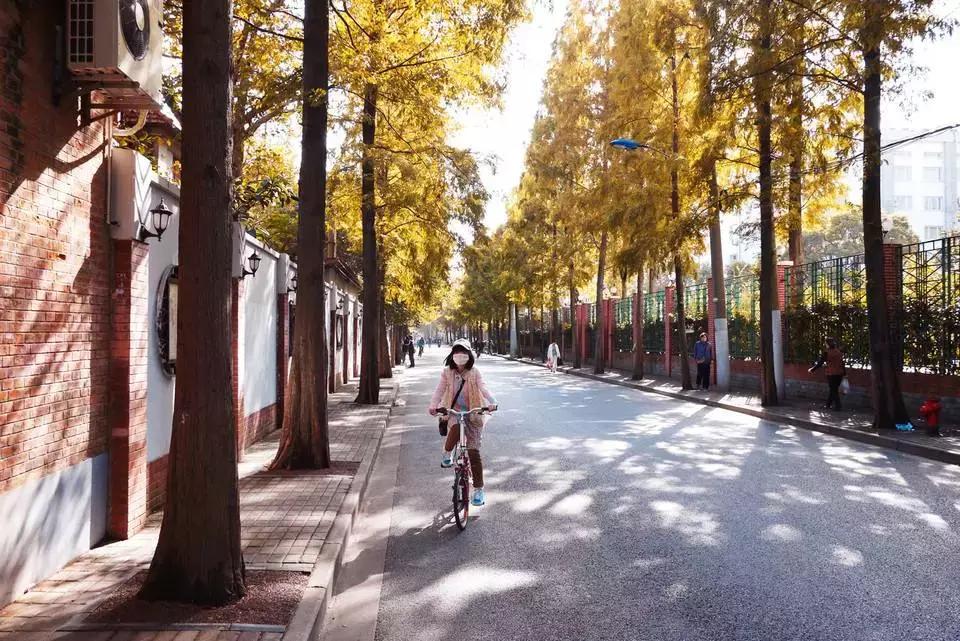 上海地铁全线路图和首末班时刻表,2019年上海地铁首末时间表