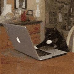 html5学习培训,html5有前景吗