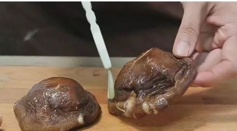 狗狗除了吃狗粮还能吃哪些肉,狗狗到底能不能吃熟骨头