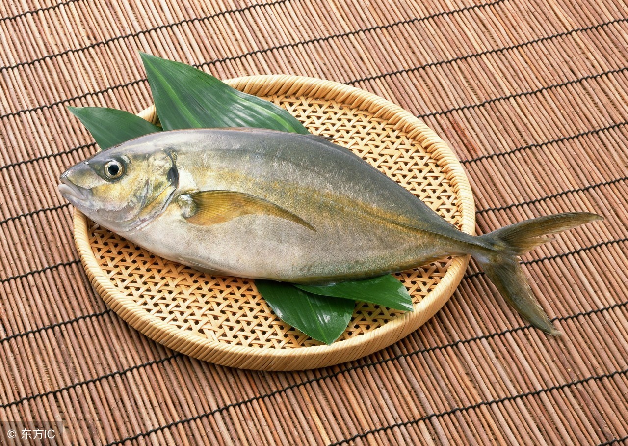 狗狗除了吃狗粮还能吃哪些肉,狗狗到底能不能吃熟骨头