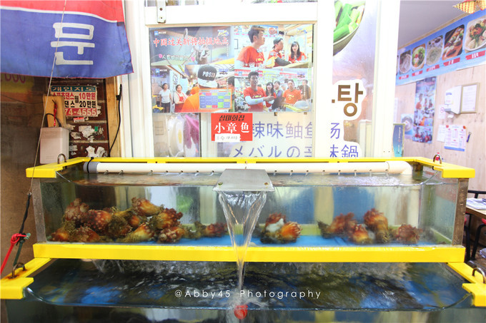 韩国受保护*物文**第1号“东大门”究竟有多少你不知道的事