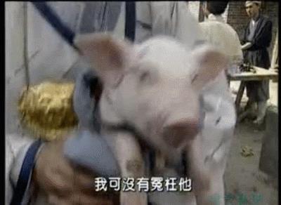 春光灿烂猪八戒系列哪一个最火,春光灿烂猪八戒饰演今昔对比