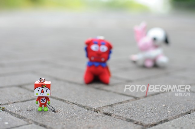 新手拍照必学15个拍摄技巧,拍摄浅景深的4种简单方法