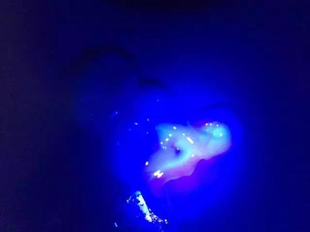 洗衣机会每天洗衣服吗,小天鹅洗衣机洗衣液选择