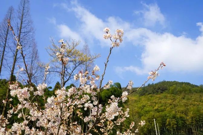 当东方遇上西方,当东方遇见西方戛纳