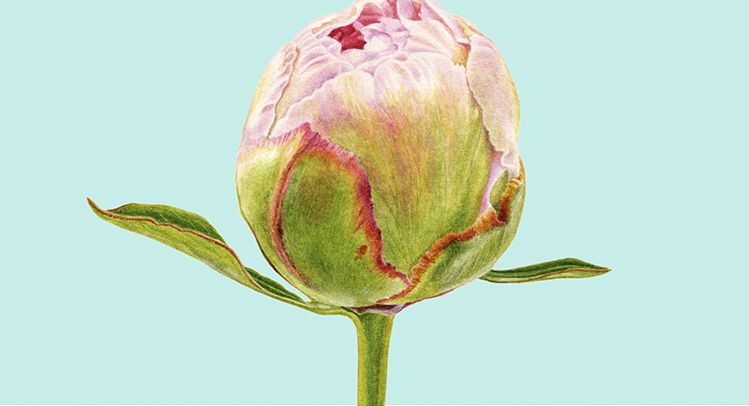 来自法国的美妆品牌有哪些,来自欧莱雅旗下彩妆品牌