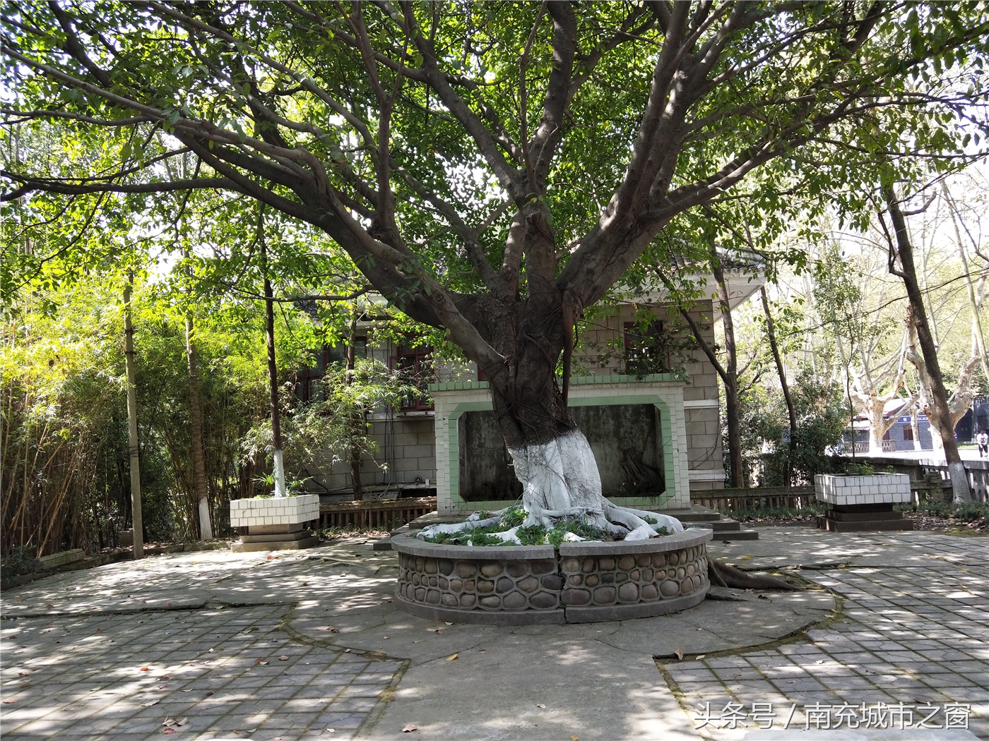 南充西华师范大学里面什么样,西华师范大学北湖校区