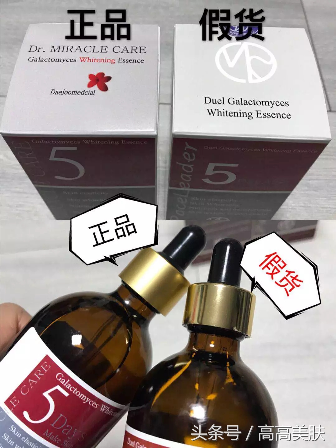 传说中的女神全集免费,传说中的女神