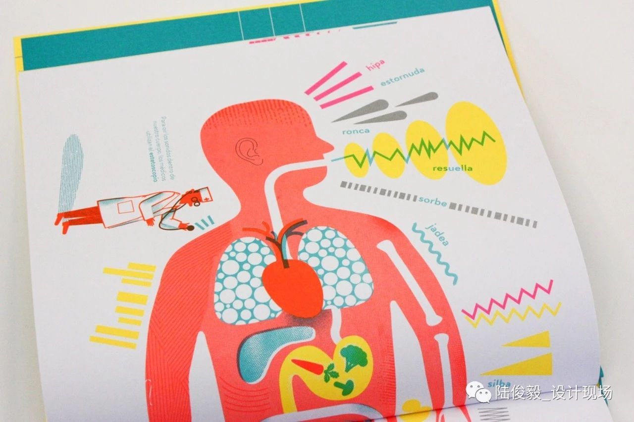 国际获奖26本绘本,2019年最佳绘本