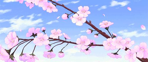 赏花时请警惕这些迷人的危险,最近赏花需要注意什么