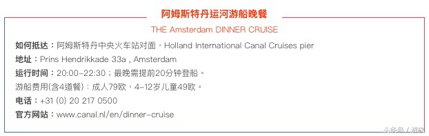 荷兰郁金香风光,维也纳冬天的花