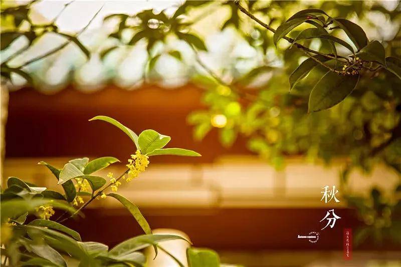 致东湖：你的美不只在绿道二期，从四季路过都会被你惊艳