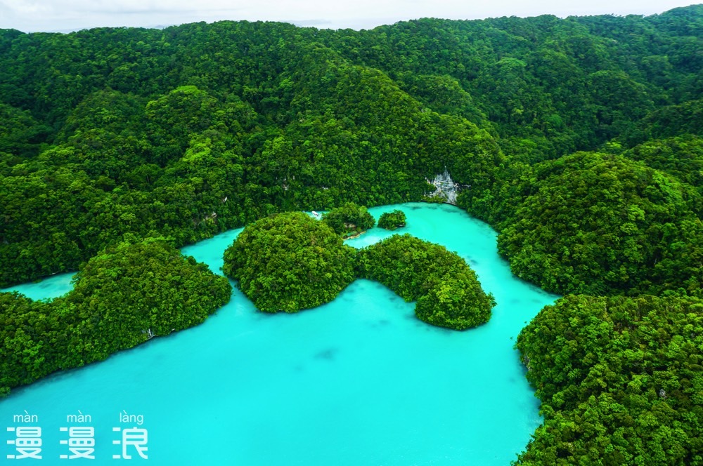 帕劳超详细自由行攻略,帕劳攻略详细讲解