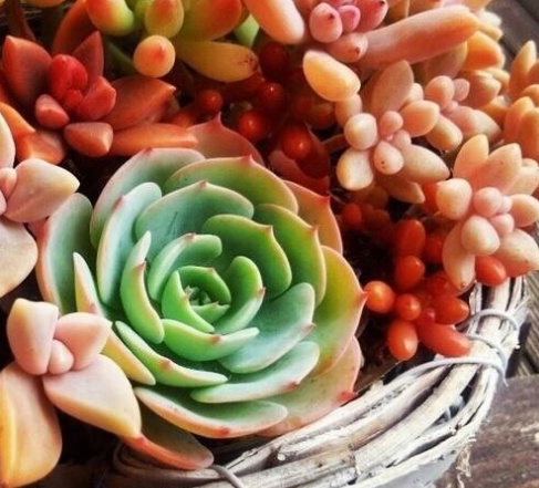 身在天涯心在咫尺情在心里,身在天涯心在墨里是什么意思